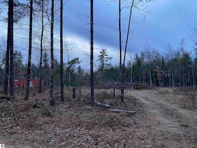 00 S Emma Ave, Pleasant Plains Township, MI 49304 - photo 5