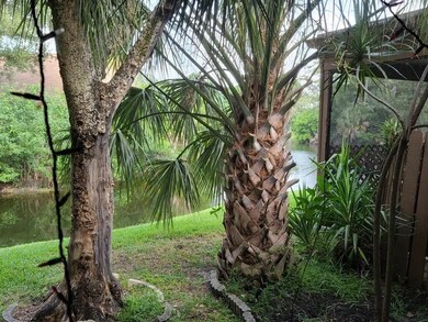 BACK PATIO