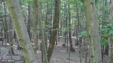 0 Calypso Trail unit 1003640048, Great Cacapon, WV 25422 - photo 4