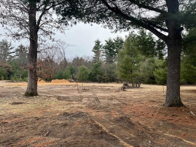 889 Elk Ave, Adams, WI 53910 - photo 7