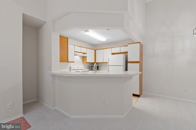 11739 Summerchase Cir unit 1739-B, Reston, VA 20194 - photo 6