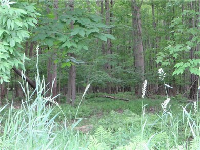 VL Calhoun & State Line Rd, Conneaut, OH 44030 - photo 7