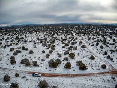 DJI_0975
