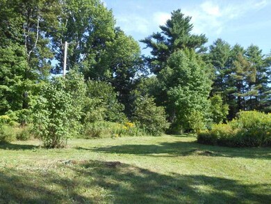 Yard/Garden.