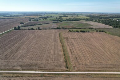 0000 SE 45th Rd, Golden City Township, MO 64748 - photo 4