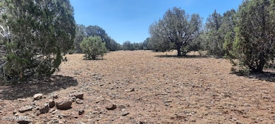 Xxxx Martinez, Williams, AZ 86046 - photo 3