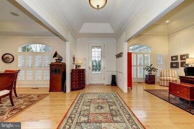 41168 English Yew Place, Leesburg, VA 20175 - photo 4