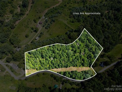 000 Langford Branch Rd, Burnsville, NC 28714 - photo 3