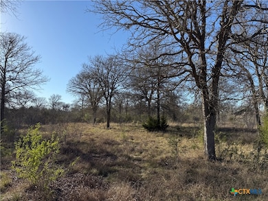 0 Country Club Dr unit 571804, Seguin, TX 78155 - photo 5