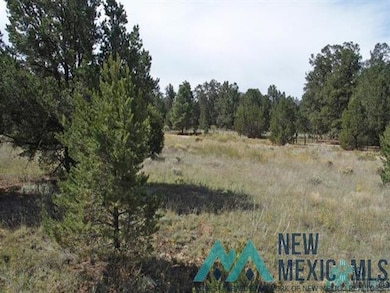 TBD Five Gate Rd, Candy Kitchen, NM 87357 - photo 3