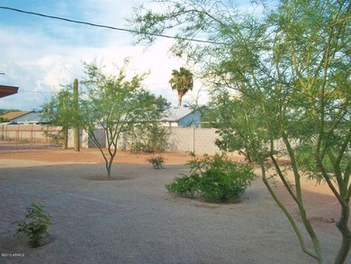 Back yard