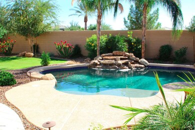 Backyard oasis!