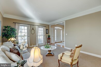 856 Queens Park Dr, Owings Mills, MD 21117 - photo 5
