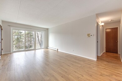 999 S Euclid Ave unit 3N, Elmhurst, IL 60126 - photo 4