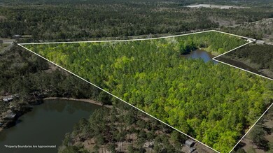 0 Highway 82, Sylvester, GA 31791 - photo 3