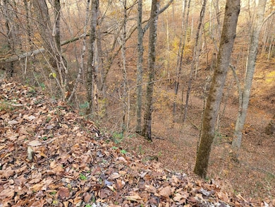 56B Holiday Haven Rd, Smithville, TN 37166 - photo 2