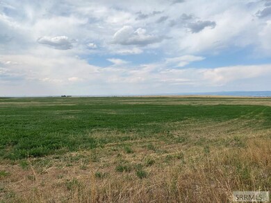 Field