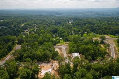 3349 Chandler Way, Hoover, AL 35226 - photo 6