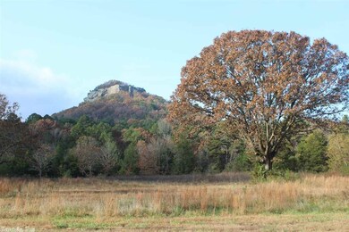 0 Hwy 110 E unit 17033878, Heber Springs, AR 72543 - photo 5