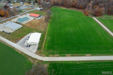 225 Ervin L Dumey Dr, Benton, MO 63736 - photo 2