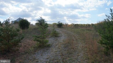 0 Jordan Hollow Ln unit 1000167925, Berkeley Springs, WV 25411 - photo 3