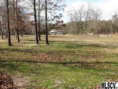 Fenced area #2