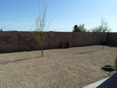 View out the back