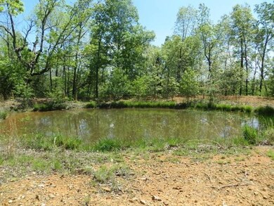 Land for Sale in Arkansas3