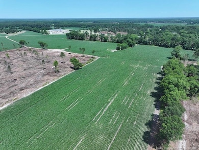 TBD Nc Hwy 71 Hwy, Red Springs, NC 28377 - photo 3