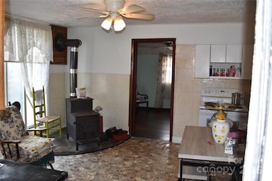 118 4th C St, Marion, NC 28752 - photo 6