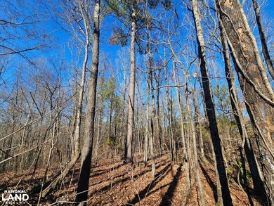 000 Bud Holmes Rd, Pinson, AL 35126 - photo 6