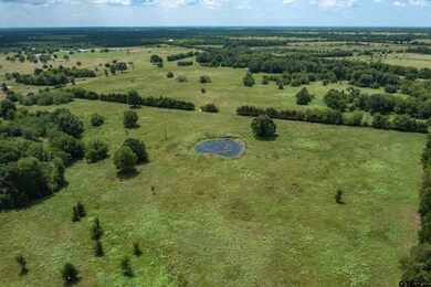 00 Vz County Road 3812, Wills Point, TX 75169 - photo 4