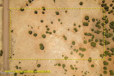 8770SupancheckRd-ShowLow-AZ-16