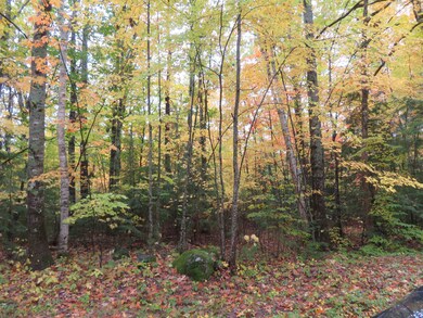 00 Savoy, Moultonborough, NH 03254 - photo 6