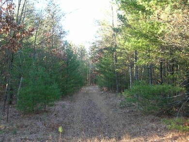 0 Crescent Rd unit 1669467, Byron, WI 54666 - photo 4