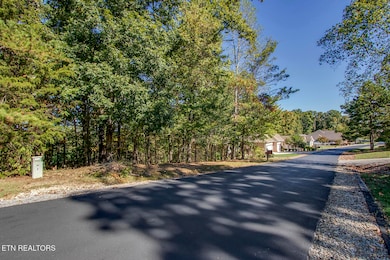 131 Kenosha Ln, Loudon, TN 37774 - photo 4