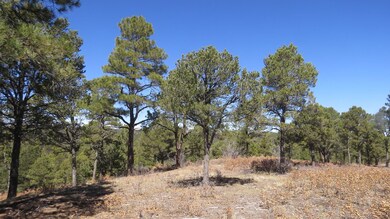 IMG_3632
