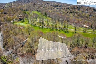 201 Grassy Gap Loop Rd, Beech Mountain, NC 28604 - photo 4