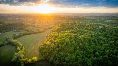 4045 S Mohawk Rd, Mohawk, TN 37810 - photo 6