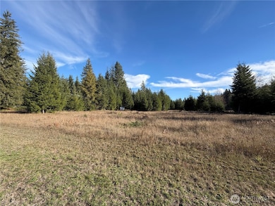 138 Shelton Rd, Randle, WA 98377 - photo 6