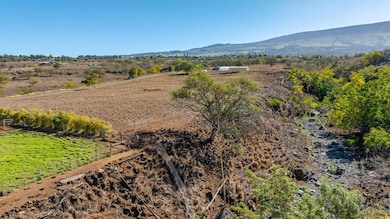 182 Hoomaikai Place unit B, Kula, HI 96790 - photo 7