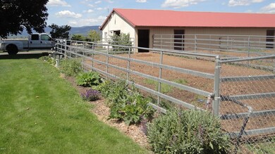 Stalls & Pens