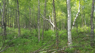 20160604_141154