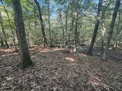 0 Burgess Loop, Middleton, TN 38052 - photo 3