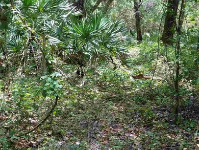 5561 County Road 208, Saint Augustine, FL 32092 - photo 7