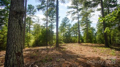 00 Scenic Ln unit 180, Granite Falls, NC 28630 - photo 3