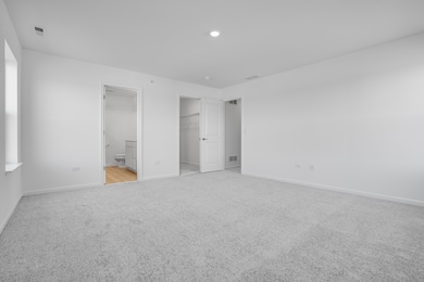 12217 Dodwell St, Huntley, IL 60142 - photo 6