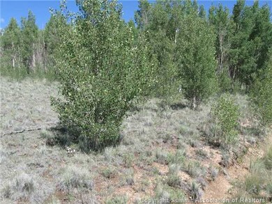 163 Mannlicher Rd, Como, CO 80432 - photo 2