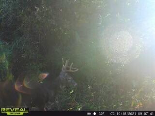 Photo2