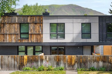 250 S Original St unit B, Aspen, CO 81611 - photo 7